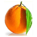 Pelle a buccia d'arancia